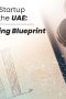 UAE startup funding